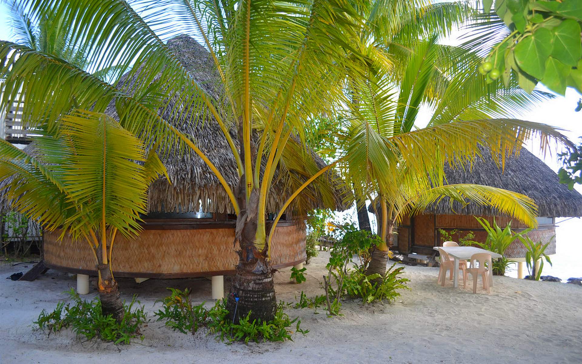 Bora Bora lodge garden bungalow