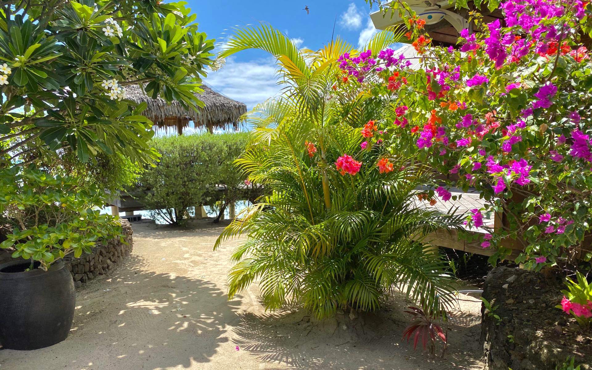Bora Bora lodge chez nono villa nord jardin